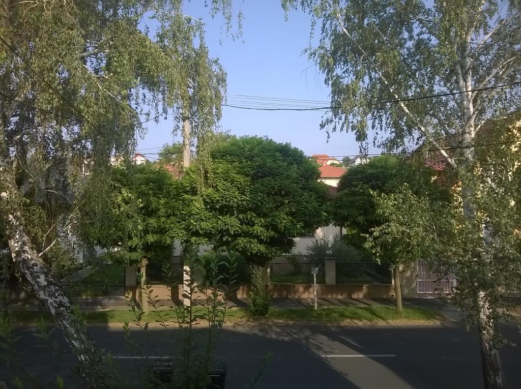 Apartman Nemeth ヘーヴィーズ エクステリア 写真
